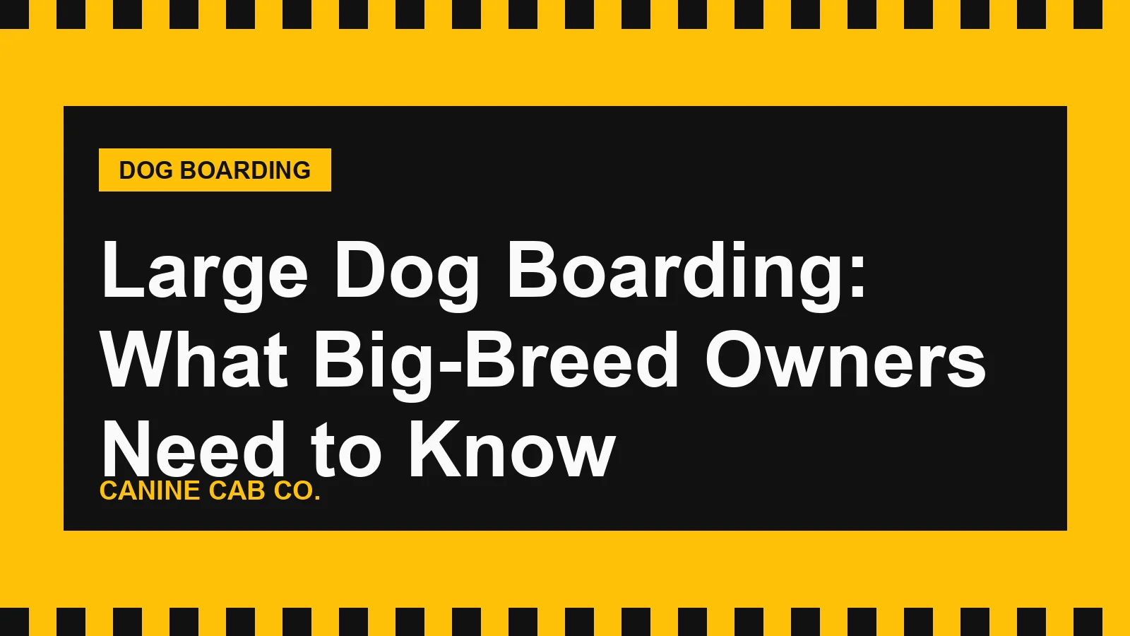 Large Dog Boarding: What Big-Breed Owners Need to Know
