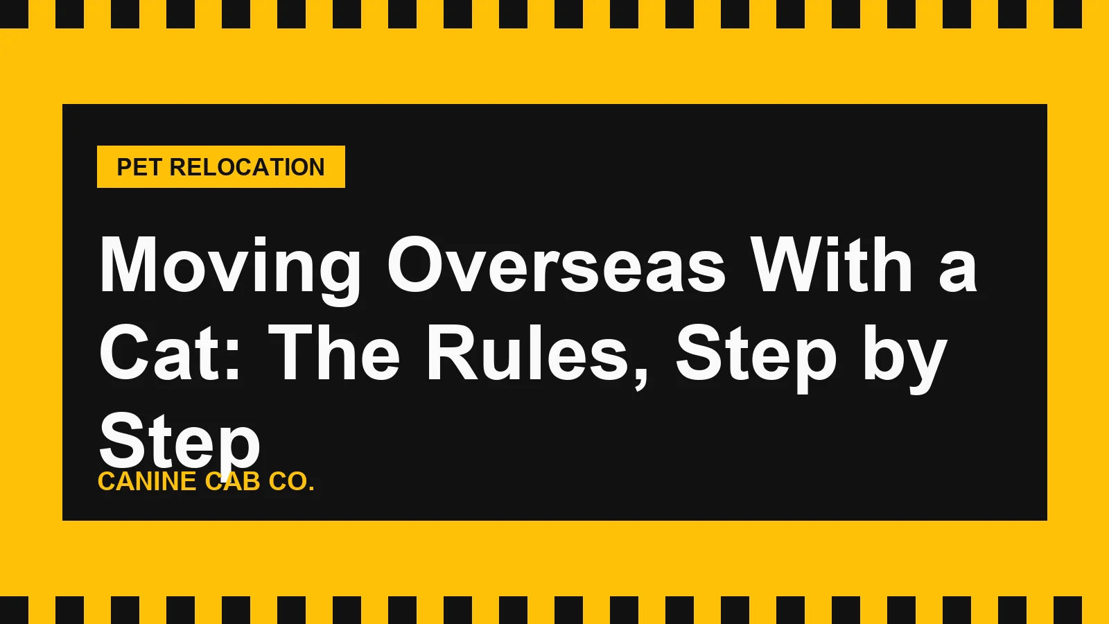Moving Overseas With a Cat: The Rules, Step by Step