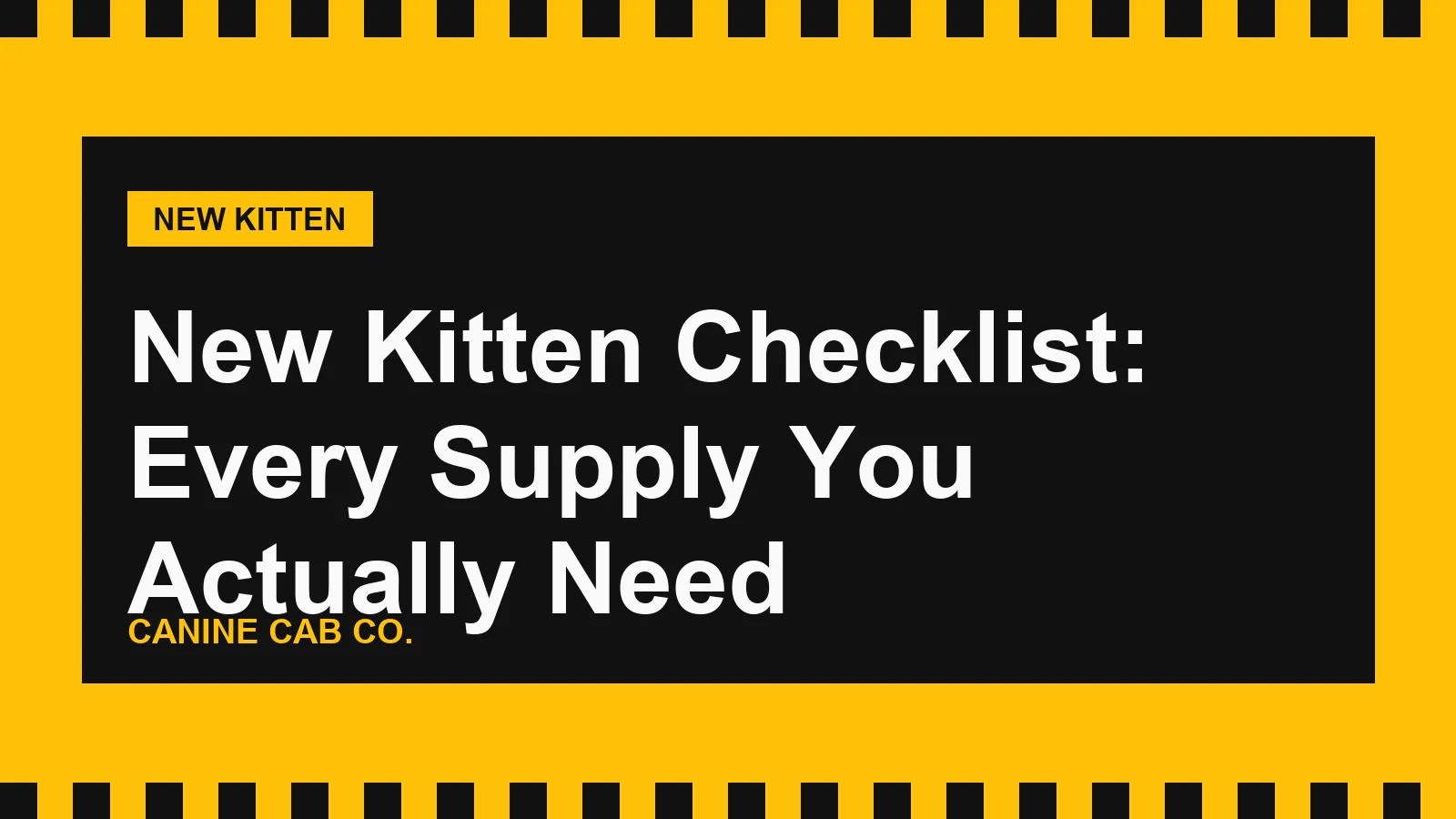 New Kitten Checklist: Every Supply You Actually Need