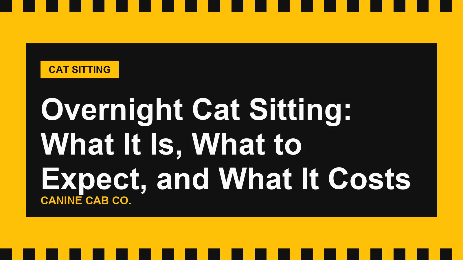 Overnight Cat Sitting: What It Is, What to Expect, and What It Costs