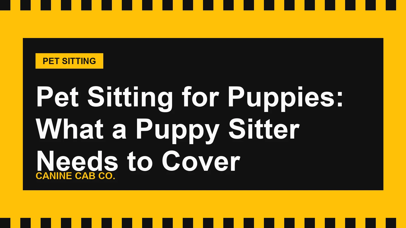 Pet Sitting for Puppies: What a Puppy Sitter Needs to Cover