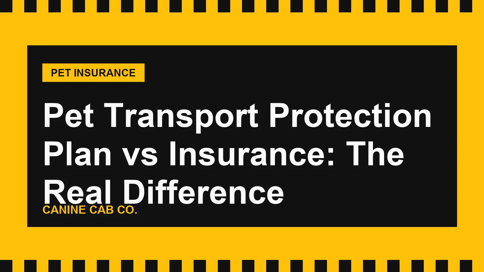 Pet Transport Protection Plan vs Insurance: The Real Difference