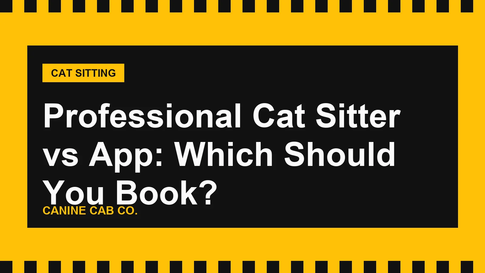Professional Cat Sitter vs App: Which Should You Book?