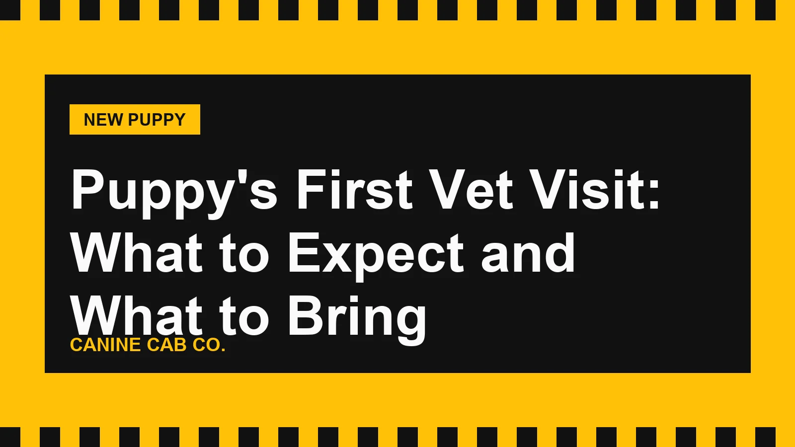 Puppy's First Vet Visit: What to Expect and What to Bring