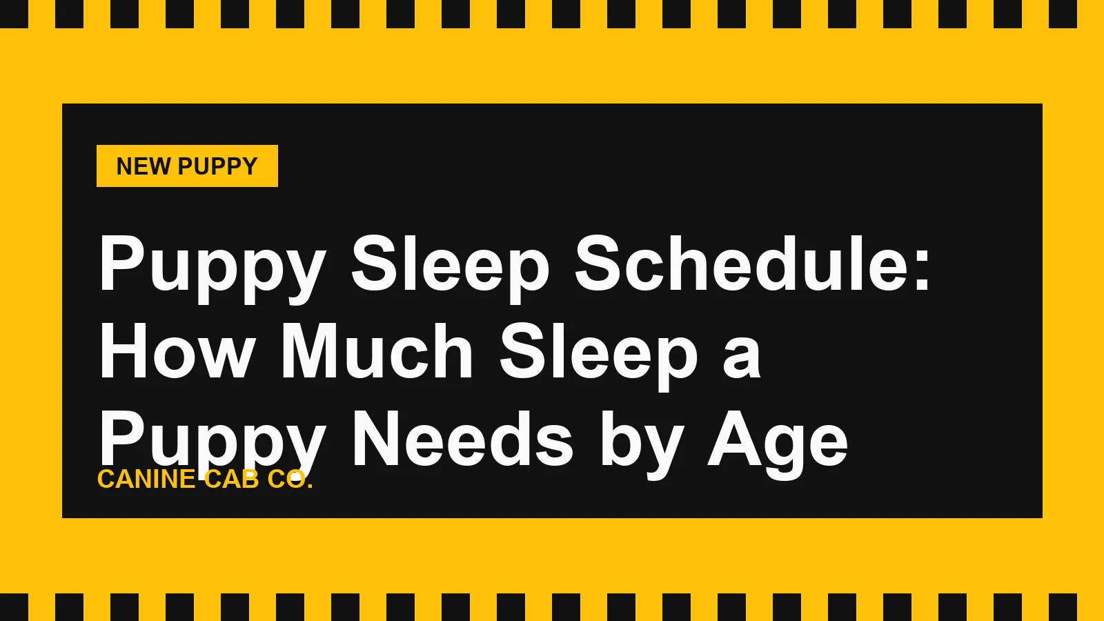 Puppy Sleep Schedule: How Much Sleep a Puppy Needs by Age
