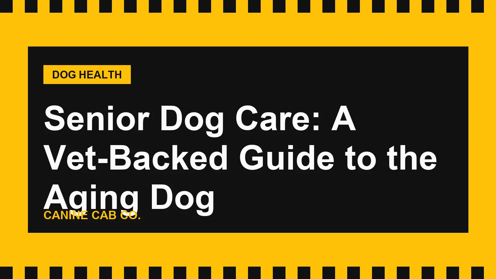 Gray-muzzled senior dog resting on an orthopedic bed next to a taxi-yellow ramp in soft window light