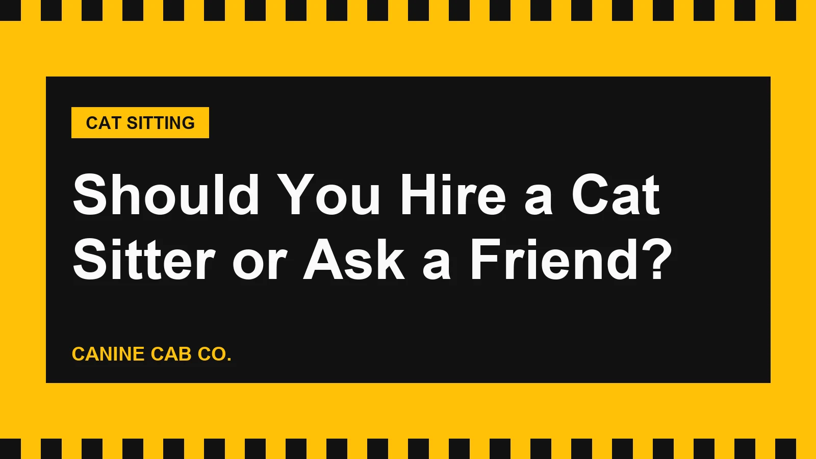 Should You Hire a Cat Sitter or Ask a Friend?