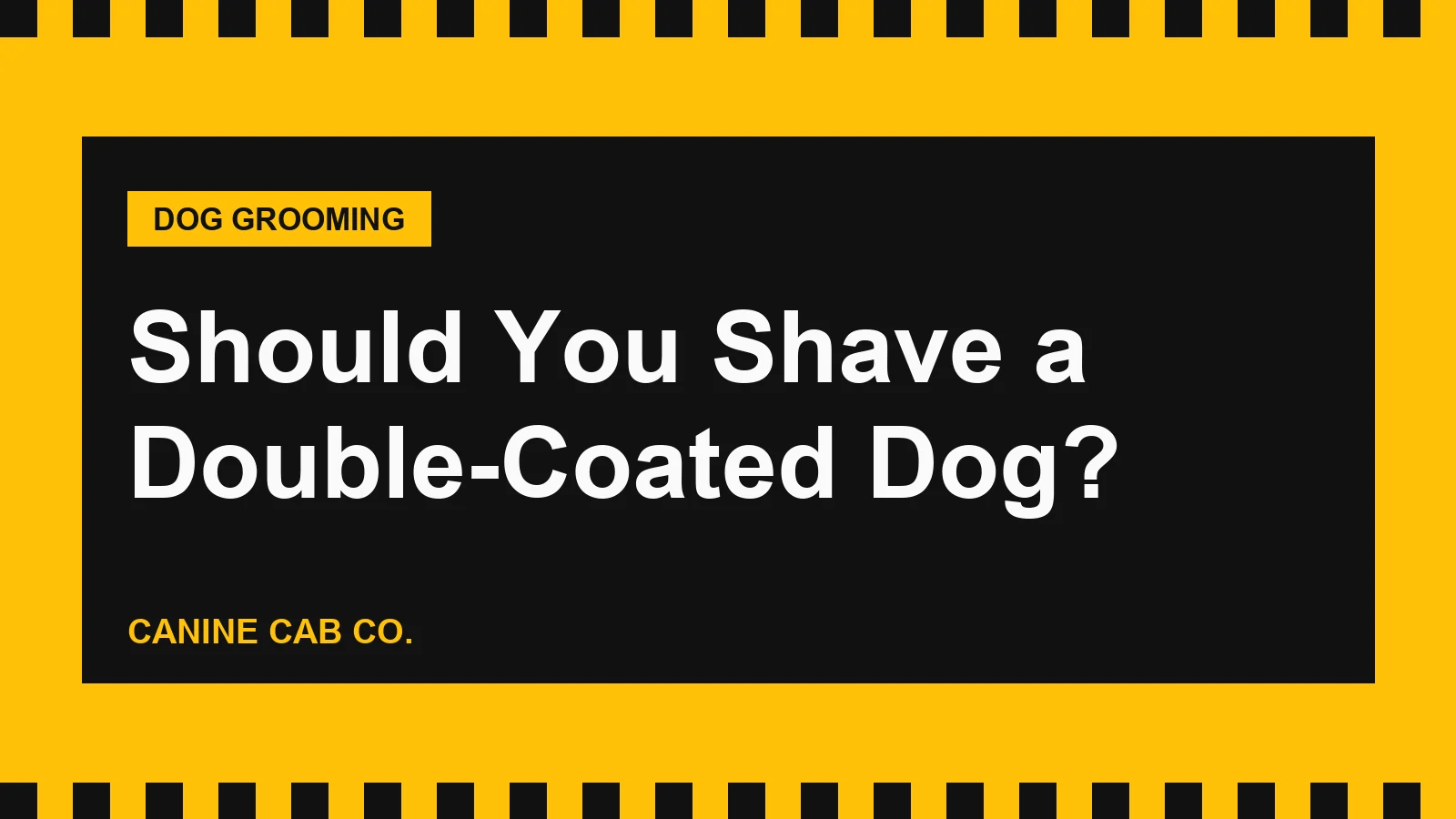 Should You Shave a Double-Coated Dog?