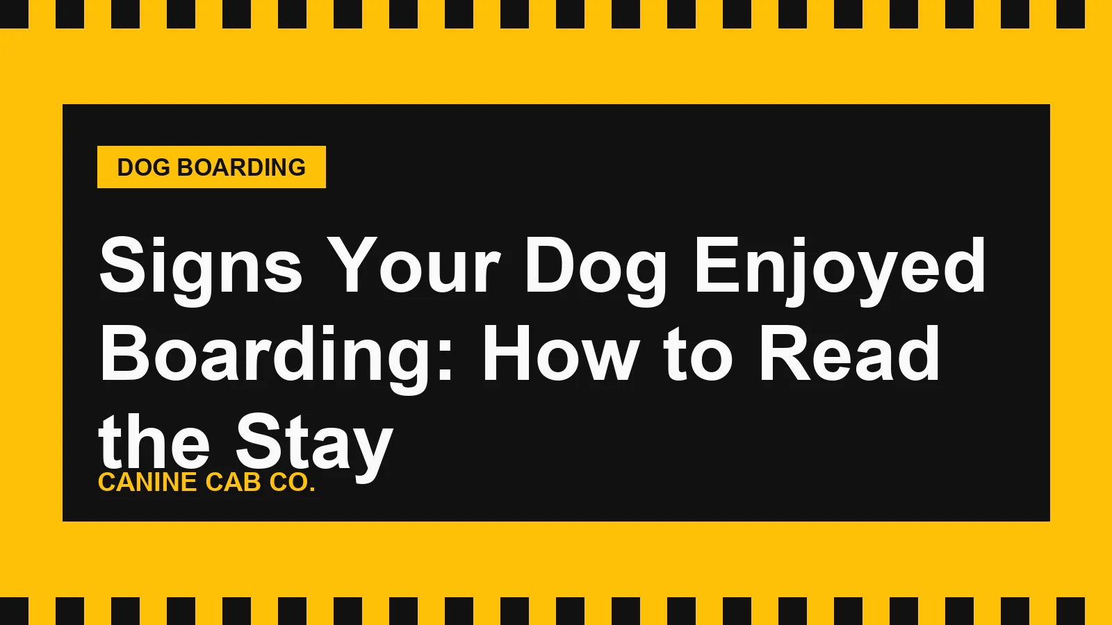Signs Your Dog Enjoyed Boarding: How to Read the Stay