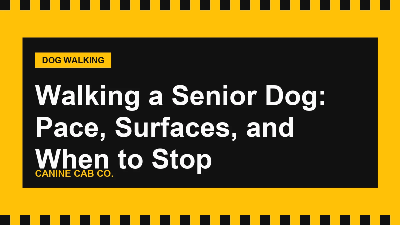 Walking a Senior Dog: Pace, Surfaces, and When to Stop
