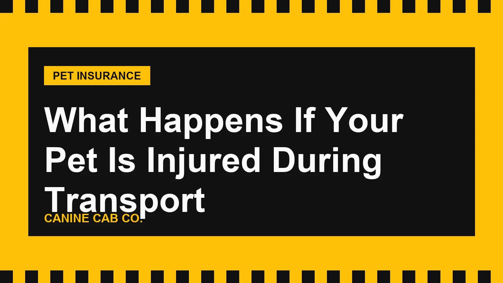 What Happens If Your Pet Is Injured During Transport