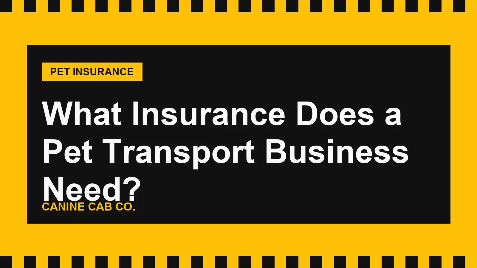 What Insurance Does a Pet Transport Business Need?