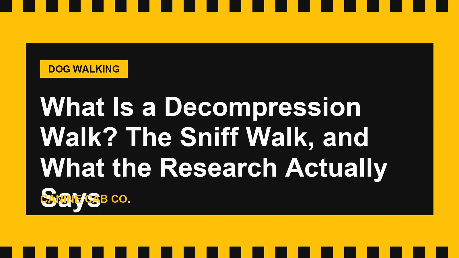 What Is a Decompression Walk? The Sniff Walk, and What the Research Actually Says