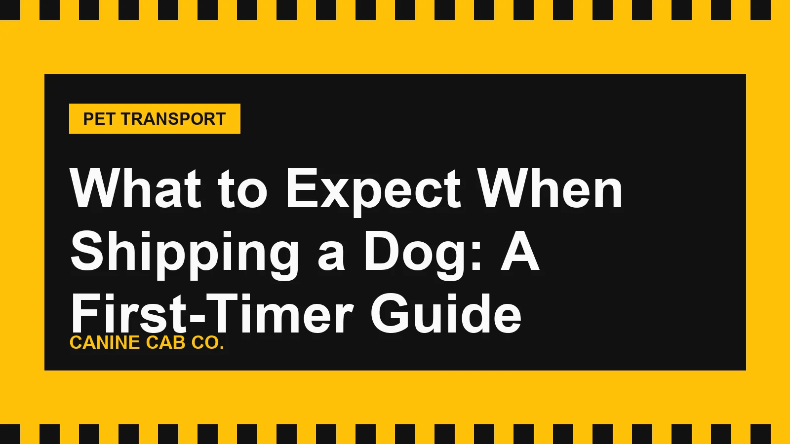 What to Expect When Shipping a Dog: A First-Timer Guide