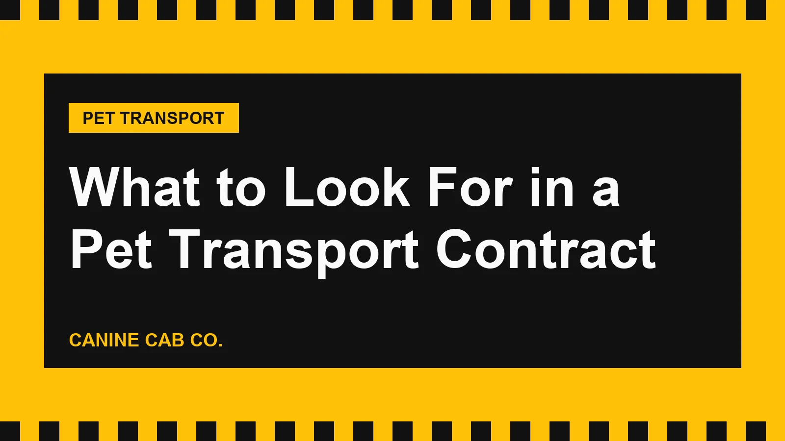 What to Look For in a Pet Transport Contract