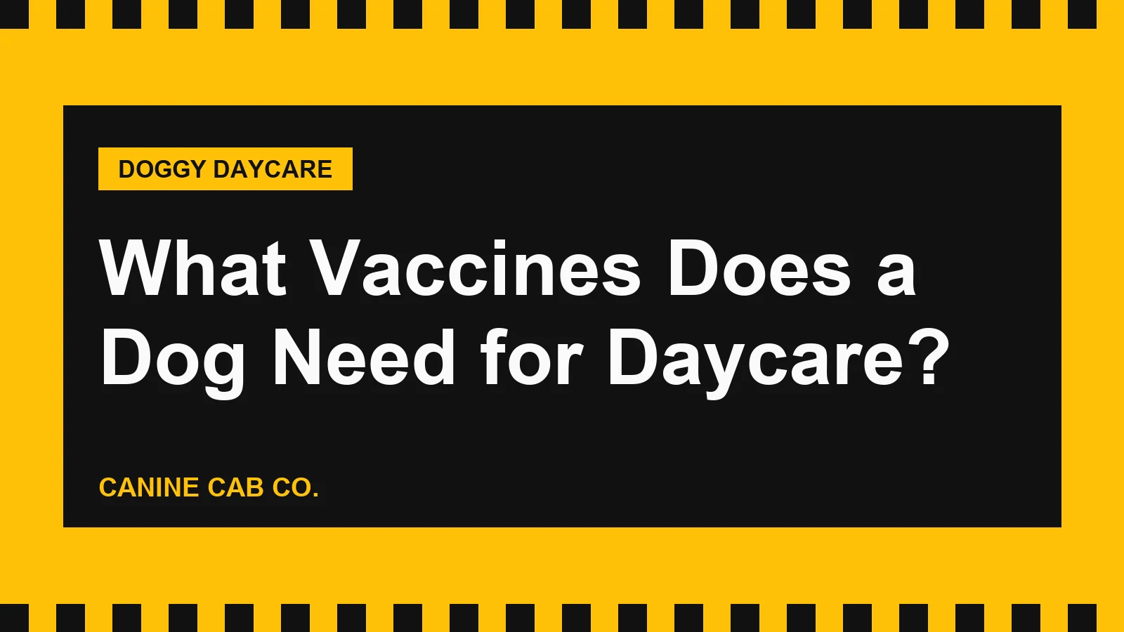 What Vaccines Does a Dog Need for Daycare?
