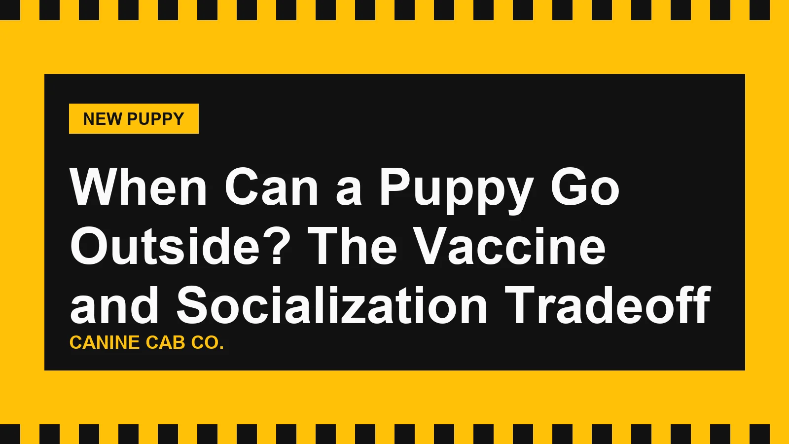When Can a Puppy Go Outside? The Vaccine and Socialization Tradeoff