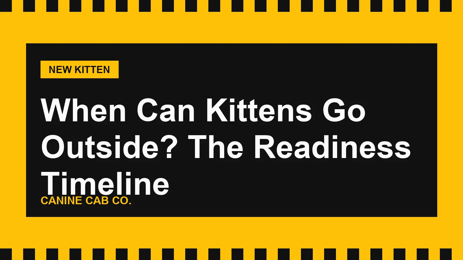 When Can Kittens Go Outside? The Readiness Timeline