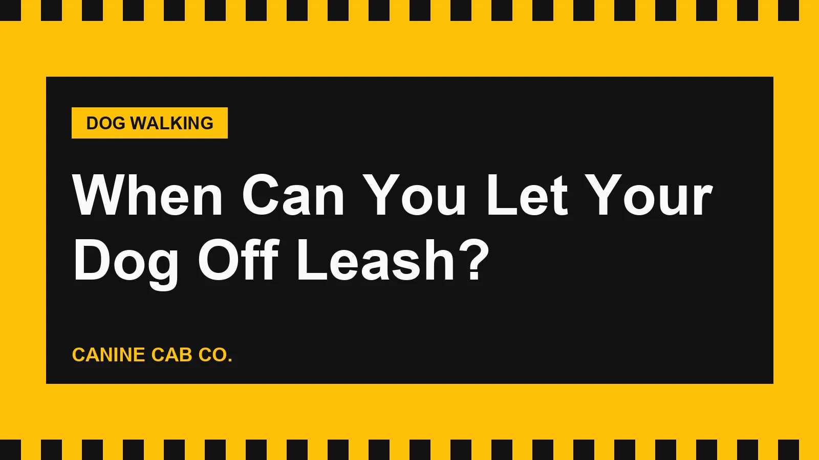 When Can You Let Your Dog Off Leash?