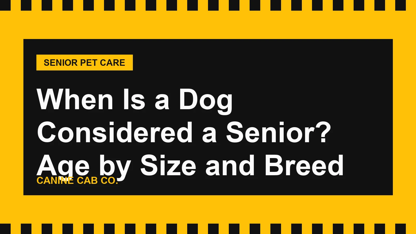 When Is a Dog Considered a Senior? Age by Size and Breed