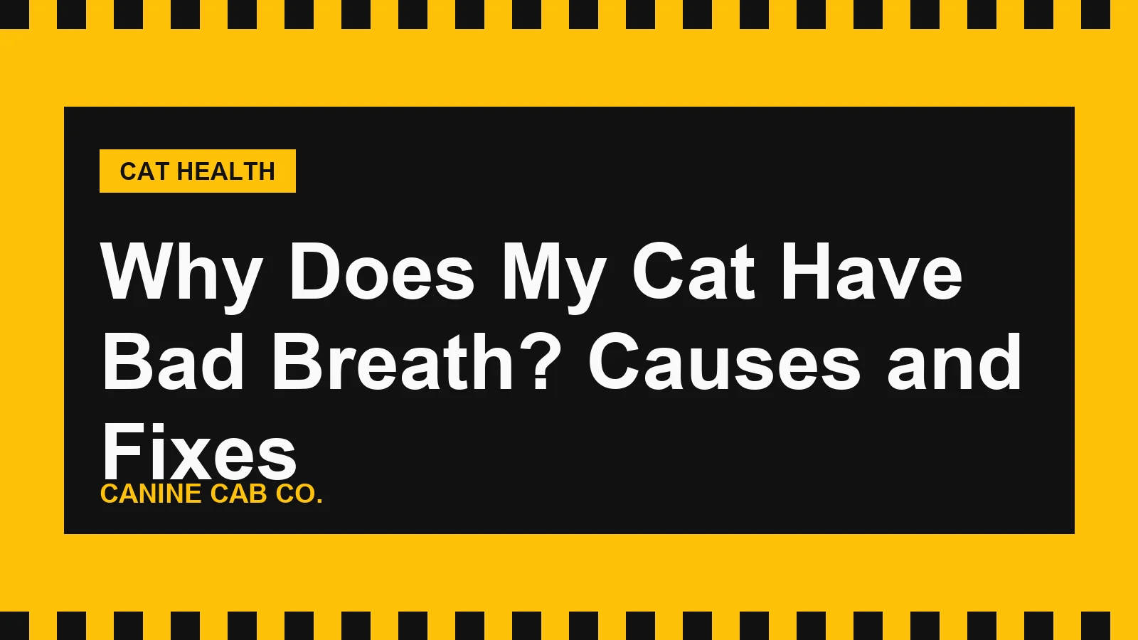 Why Does My Cat Have Bad Breath? Causes and Fixes