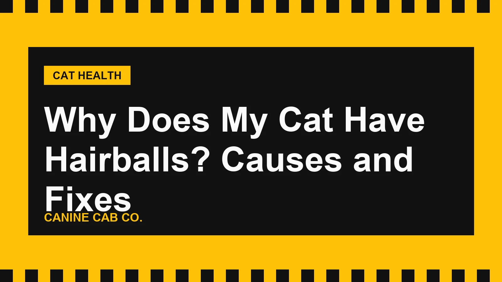 Why Does My Cat Have Hairballs? Causes and Fixes