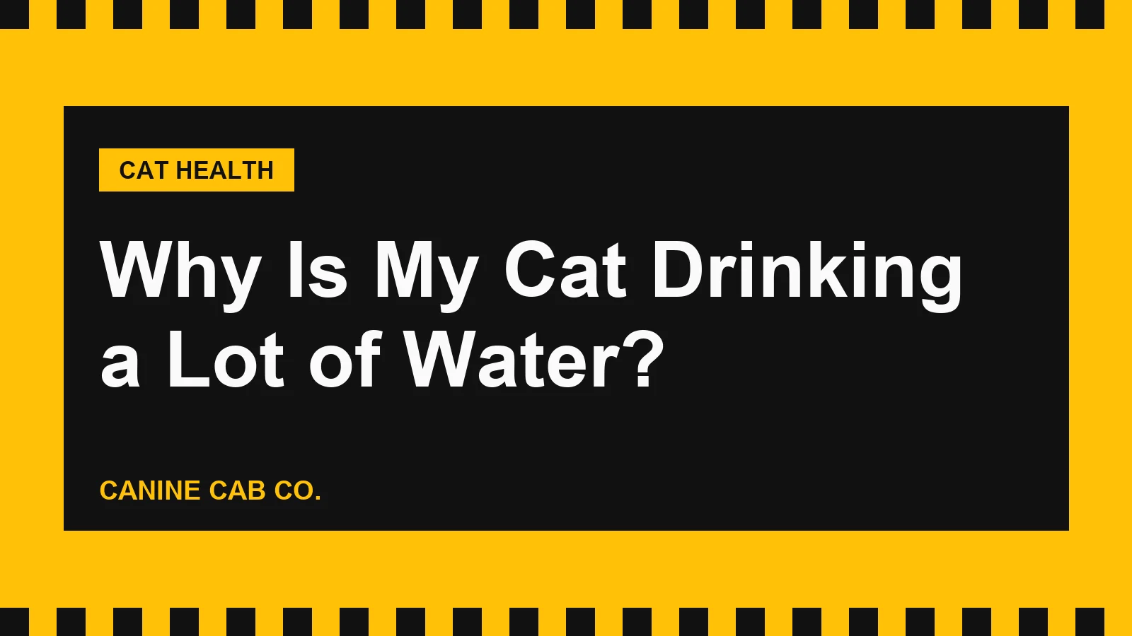 Adult tabby cat drinking from a stainless steel water bowl on a kitchen floor with a taxi-yellow mat