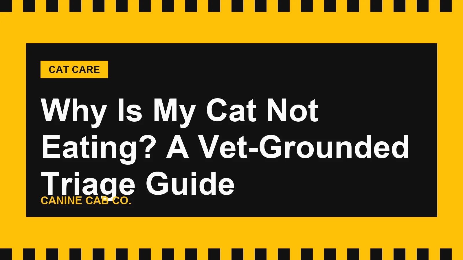 Why Is My Cat Not Eating? A Vet-Grounded Triage Guide