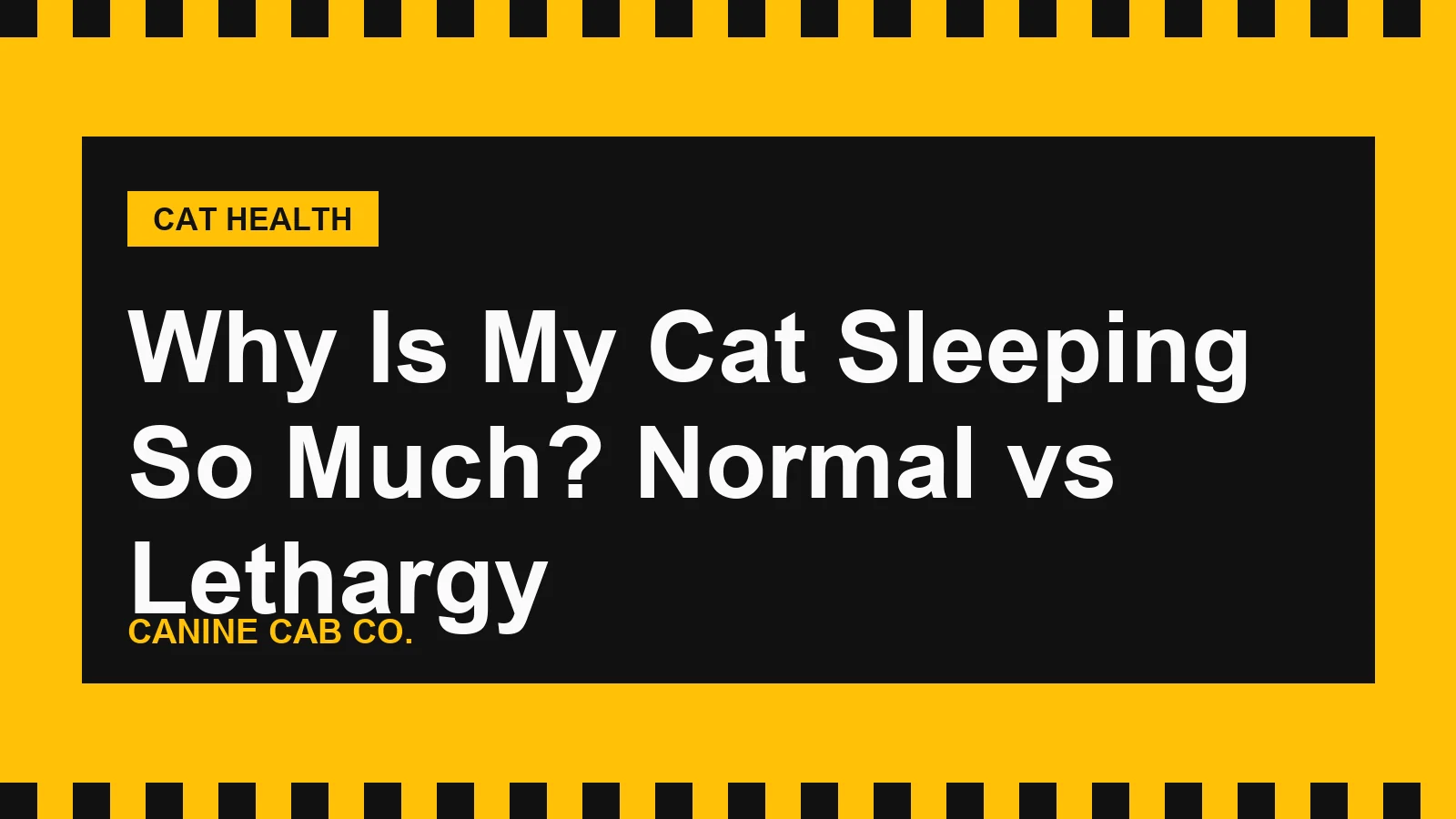 Why Is My Cat Sleeping So Much? Normal vs Lethargy