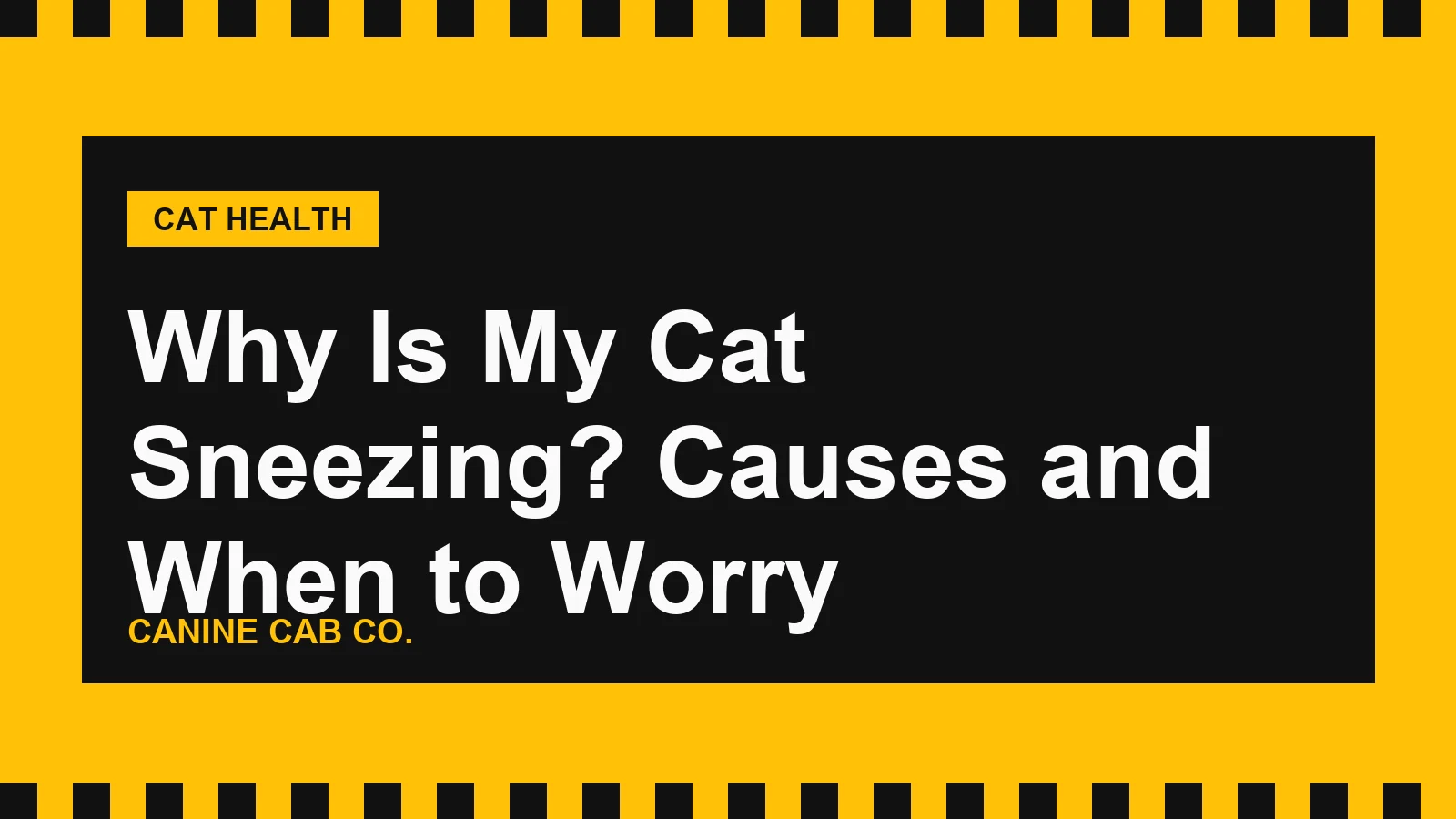 Why Is My Cat Sneezing? Causes and When to Worry