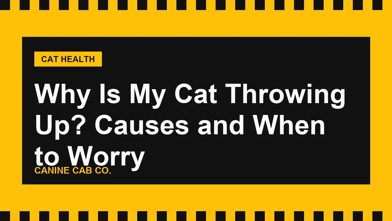 Owner comforting a tabby cat at home, illustrating why is my cat throwing up and when to see a vet.