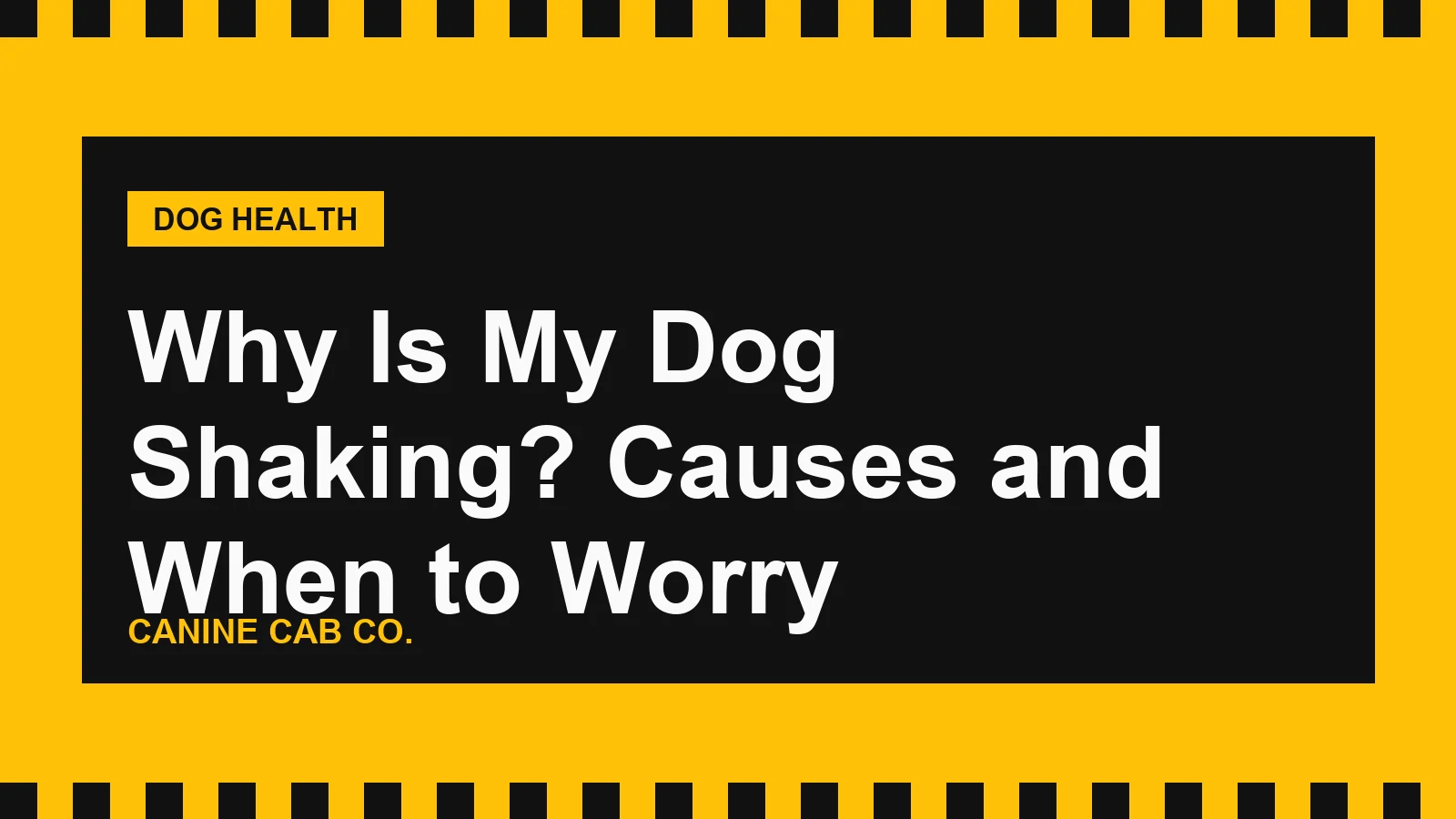 Small dog trembling under a yellow blanket while an owner checks on it, illustrating causes of dog shaking