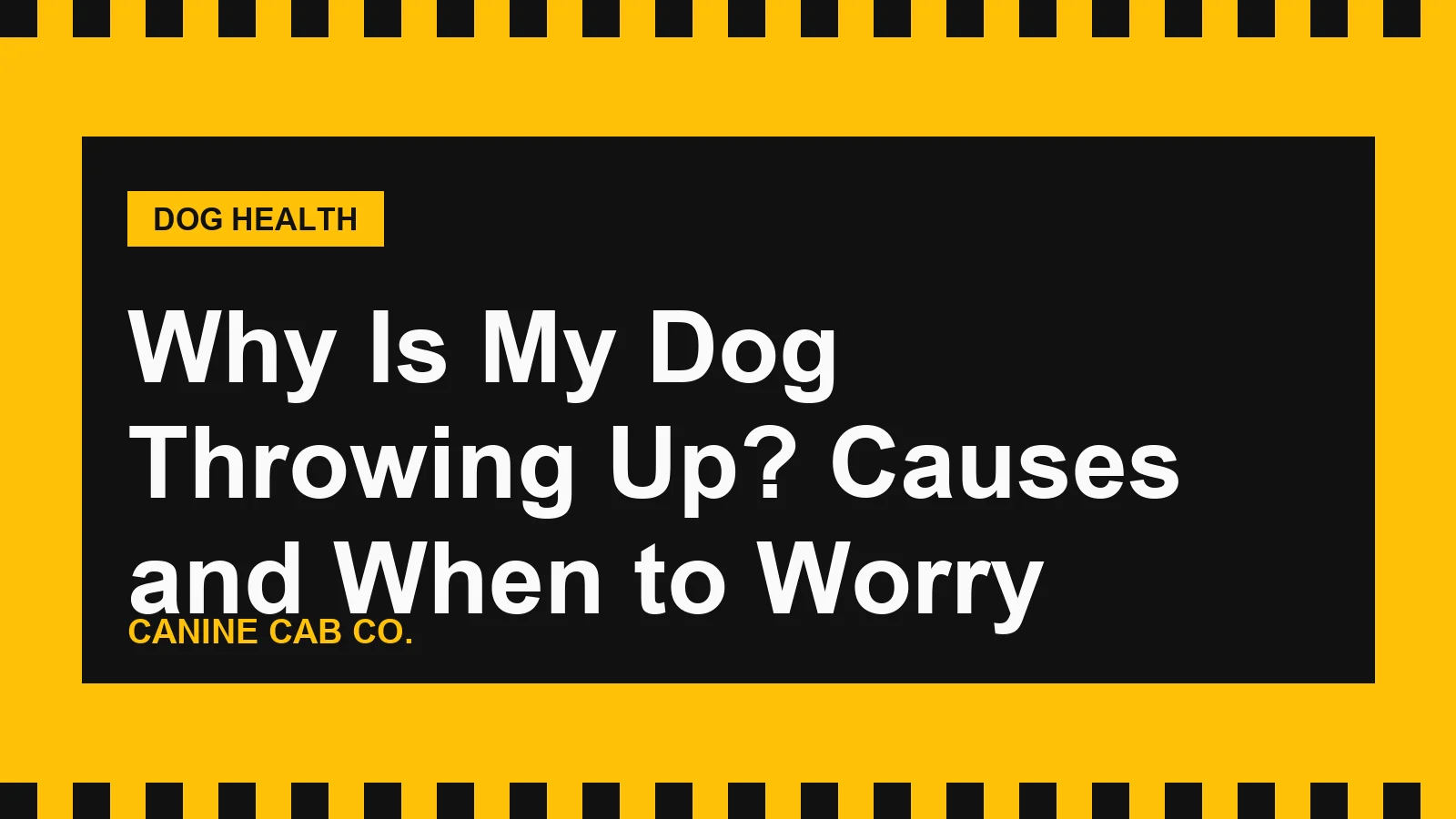 Owner checking on a resting Labrador beside a water bowl, watching for signs of illness after vomiting