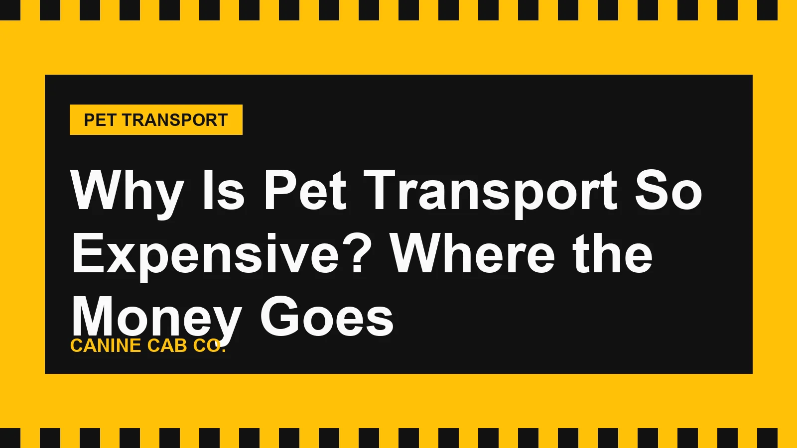 Why Is Pet Transport So Expensive? Where the Money Goes