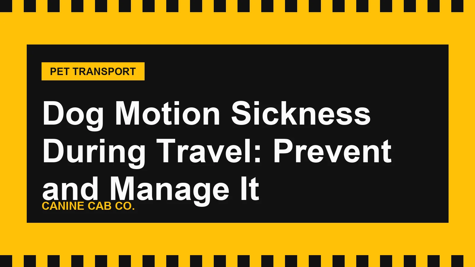 Dog Motion Sickness During Travel: Prevent and Manage It