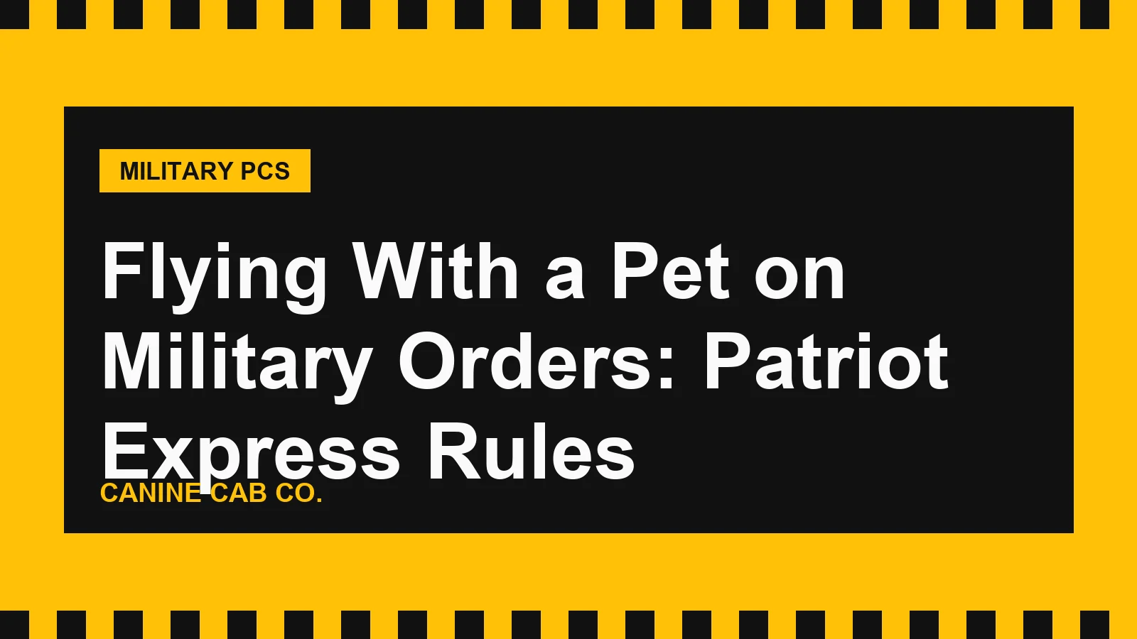 Flying With a Pet on Military Orders: Patriot Express Rules