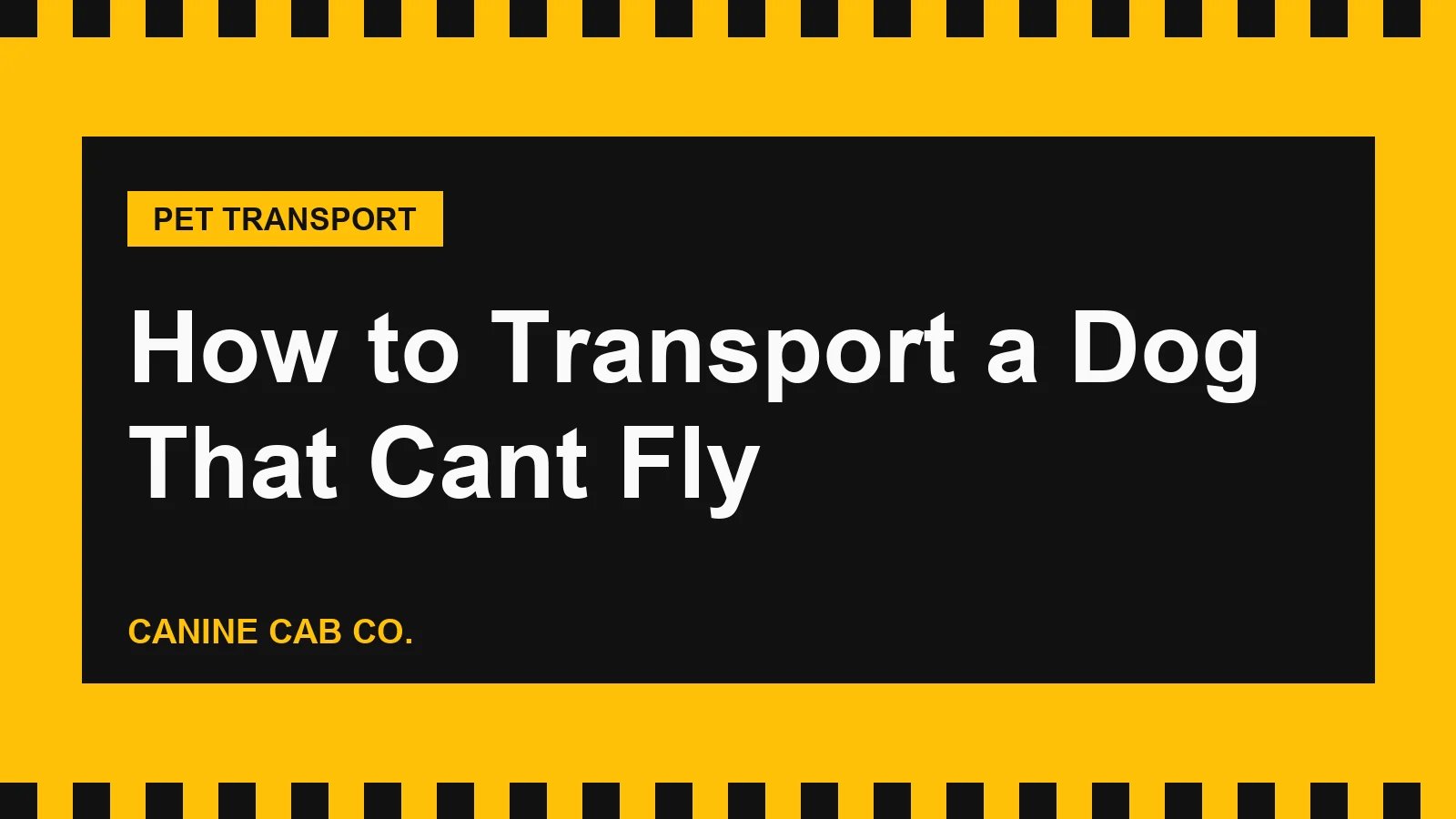 How to Transport a Dog That Cant Fly