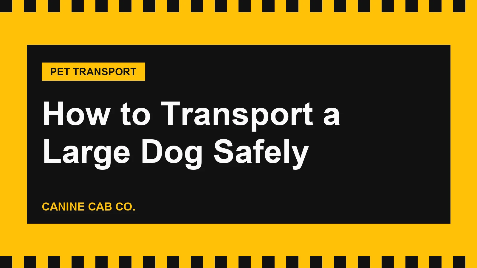How to Transport a Large Dog Safely