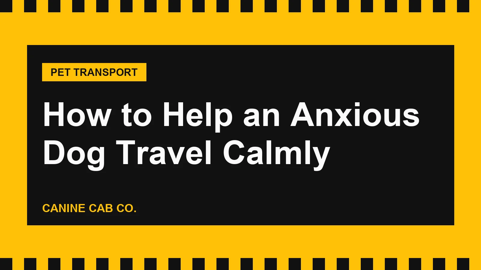 How to Help an Anxious Dog Travel Calmly