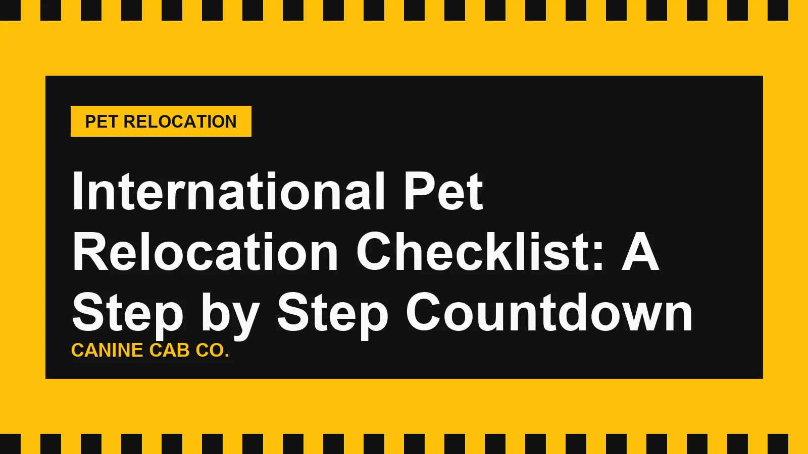 International Pet Relocation Checklist: A Step by Step Countdown