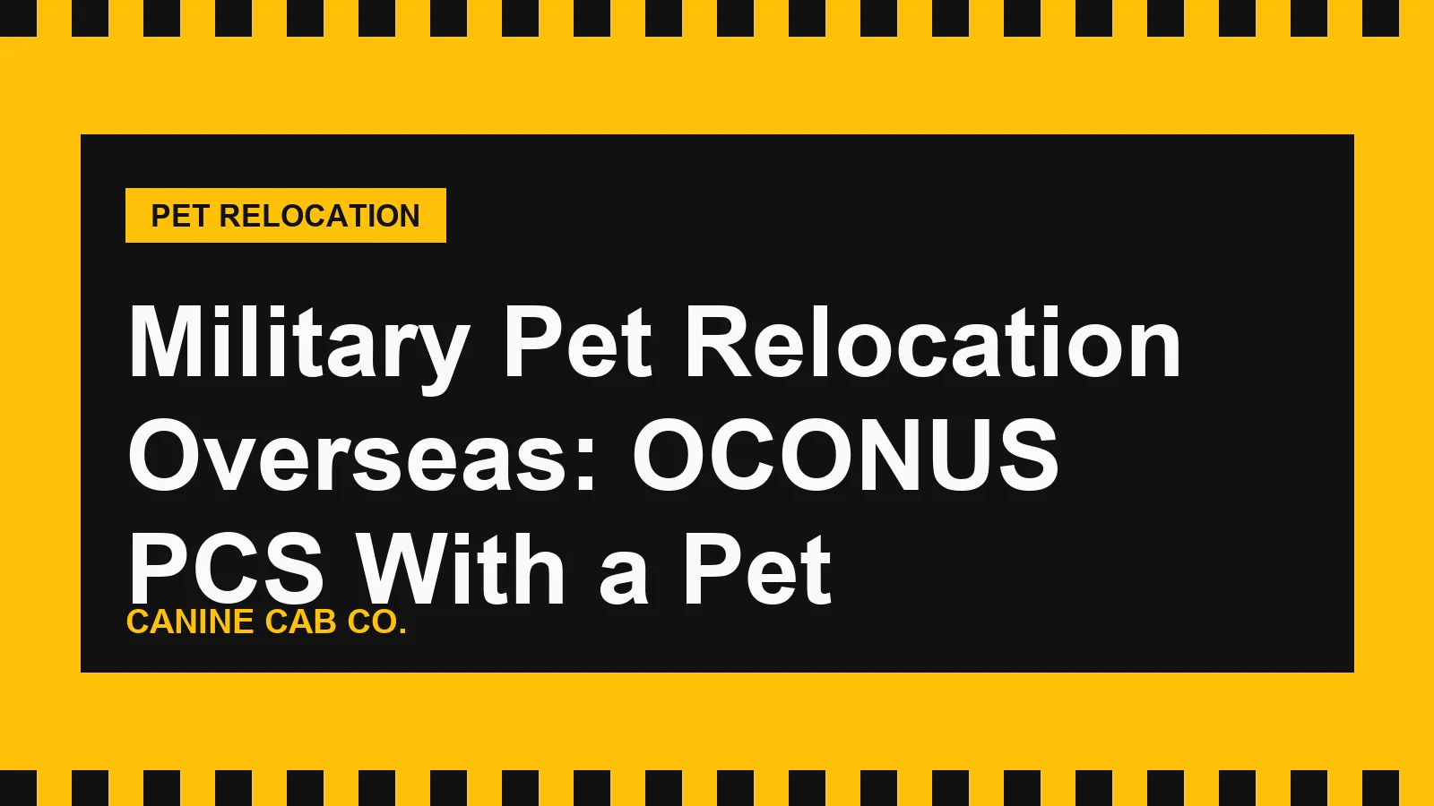 Military Pet Relocation Overseas: OCONUS PCS With a Pet