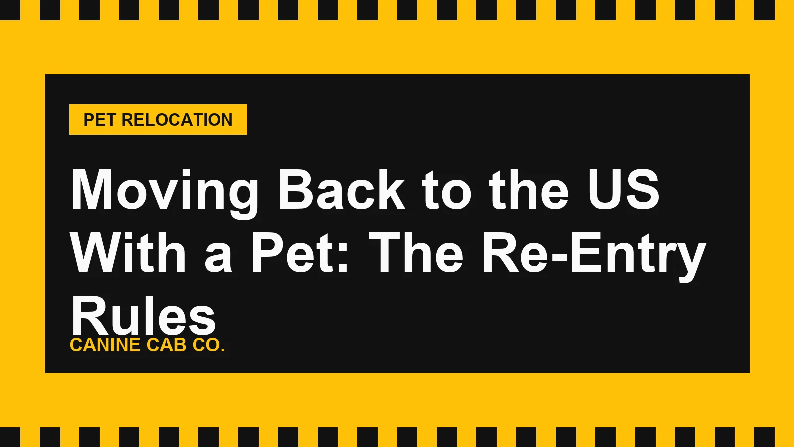 Moving Back to the US With a Pet: The Re-Entry Rules