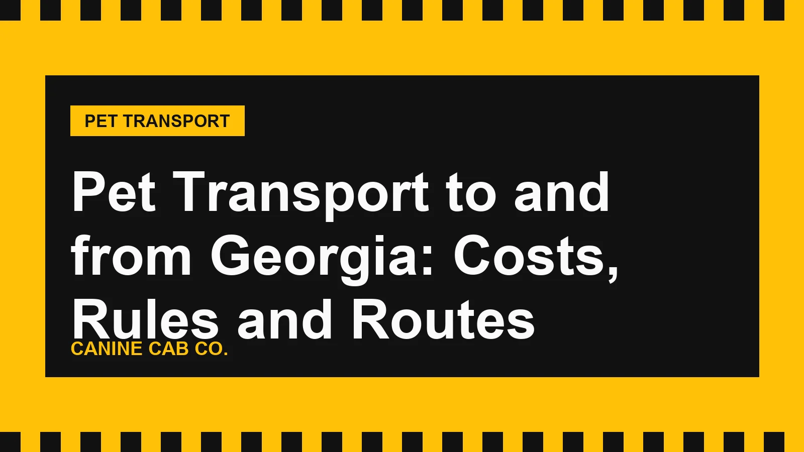 Pet Transport to and from Georgia: Costs, Rules and Routes
