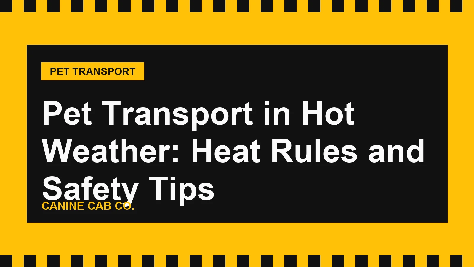 Pet Transport in Hot Weather: Heat Rules and Safety Tips