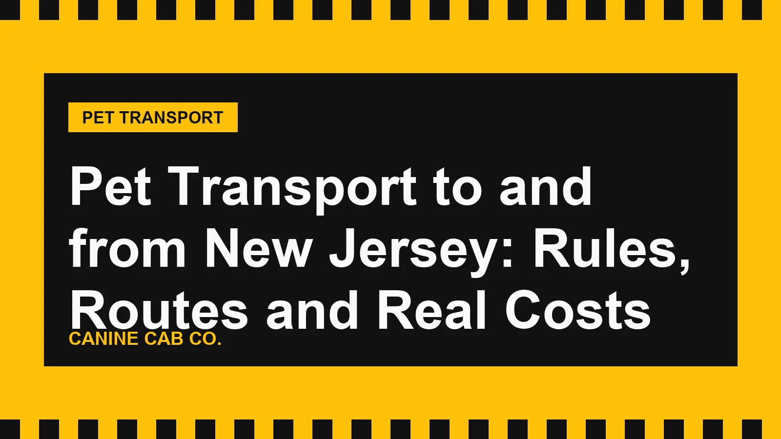 Pet Transport to and from New Jersey: Rules, Routes and Real Costs