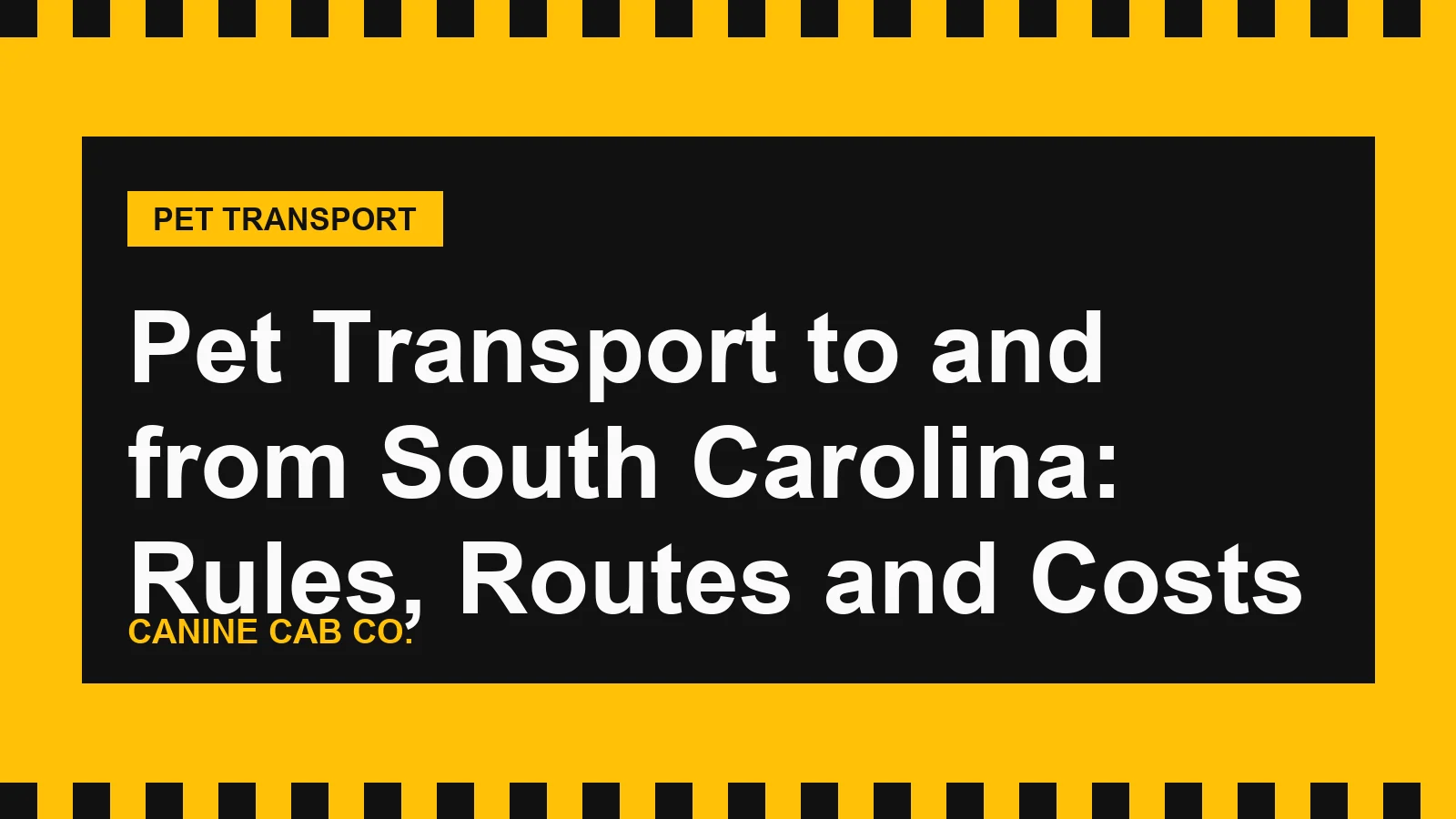 Pet Transport to and from South Carolina: Rules, Routes and Costs