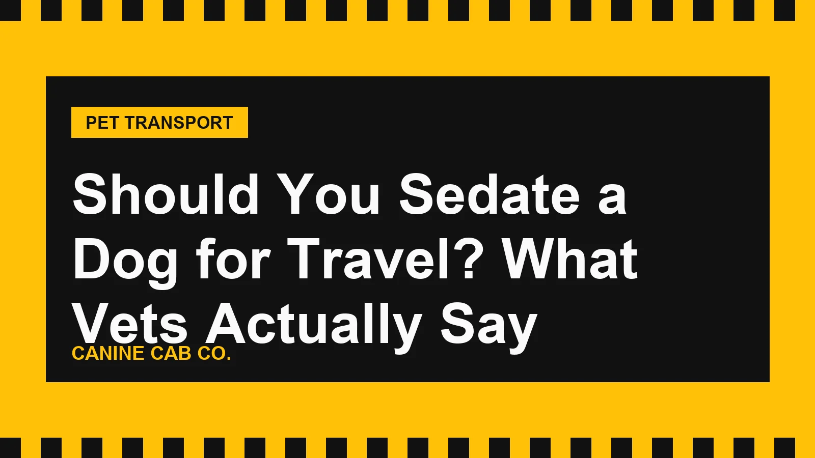 Should You Sedate a Dog for Travel? What Vets Actually Say