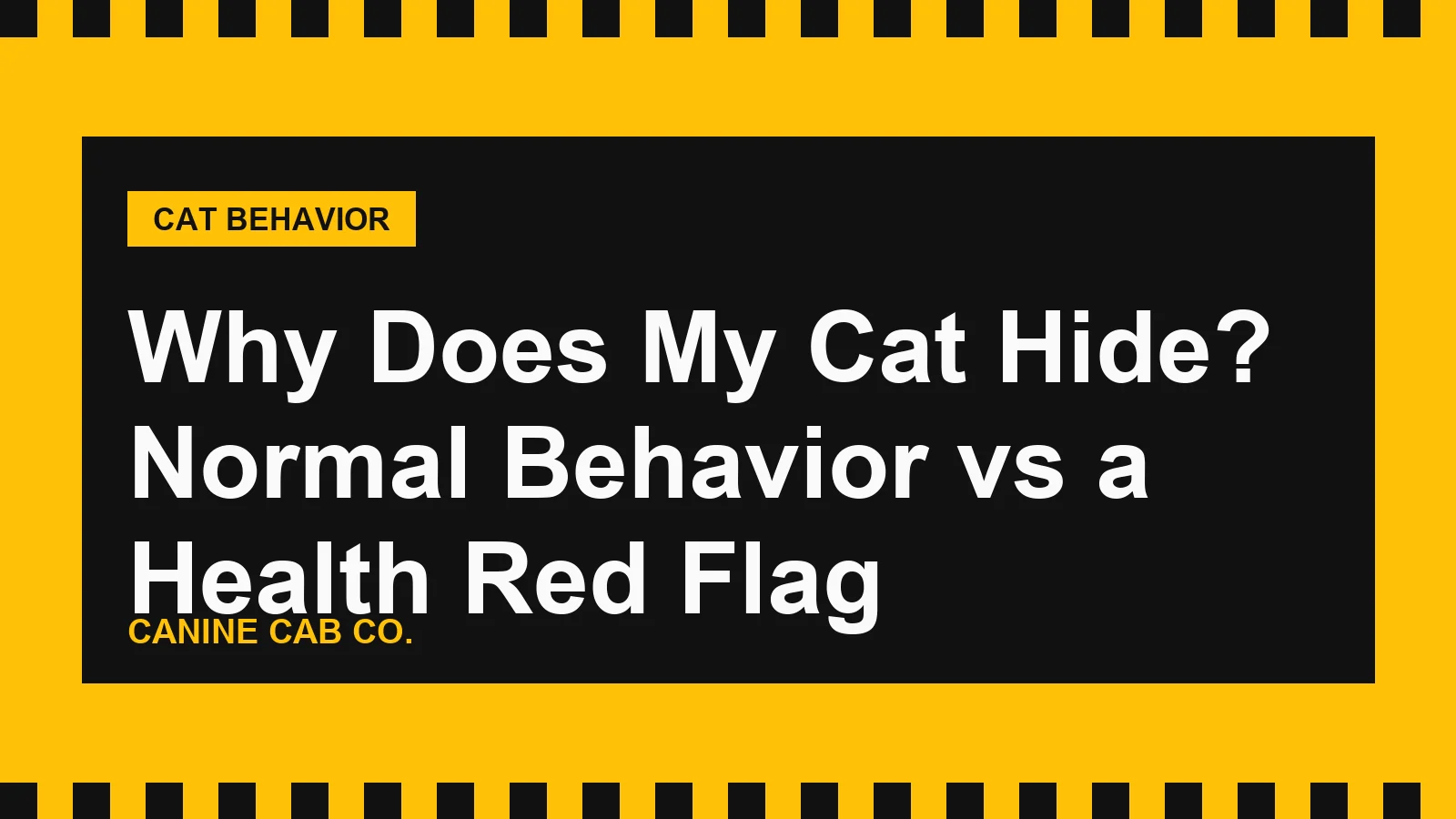 Why Does My Cat Hide? Normal Behavior vs a Health Red Flag