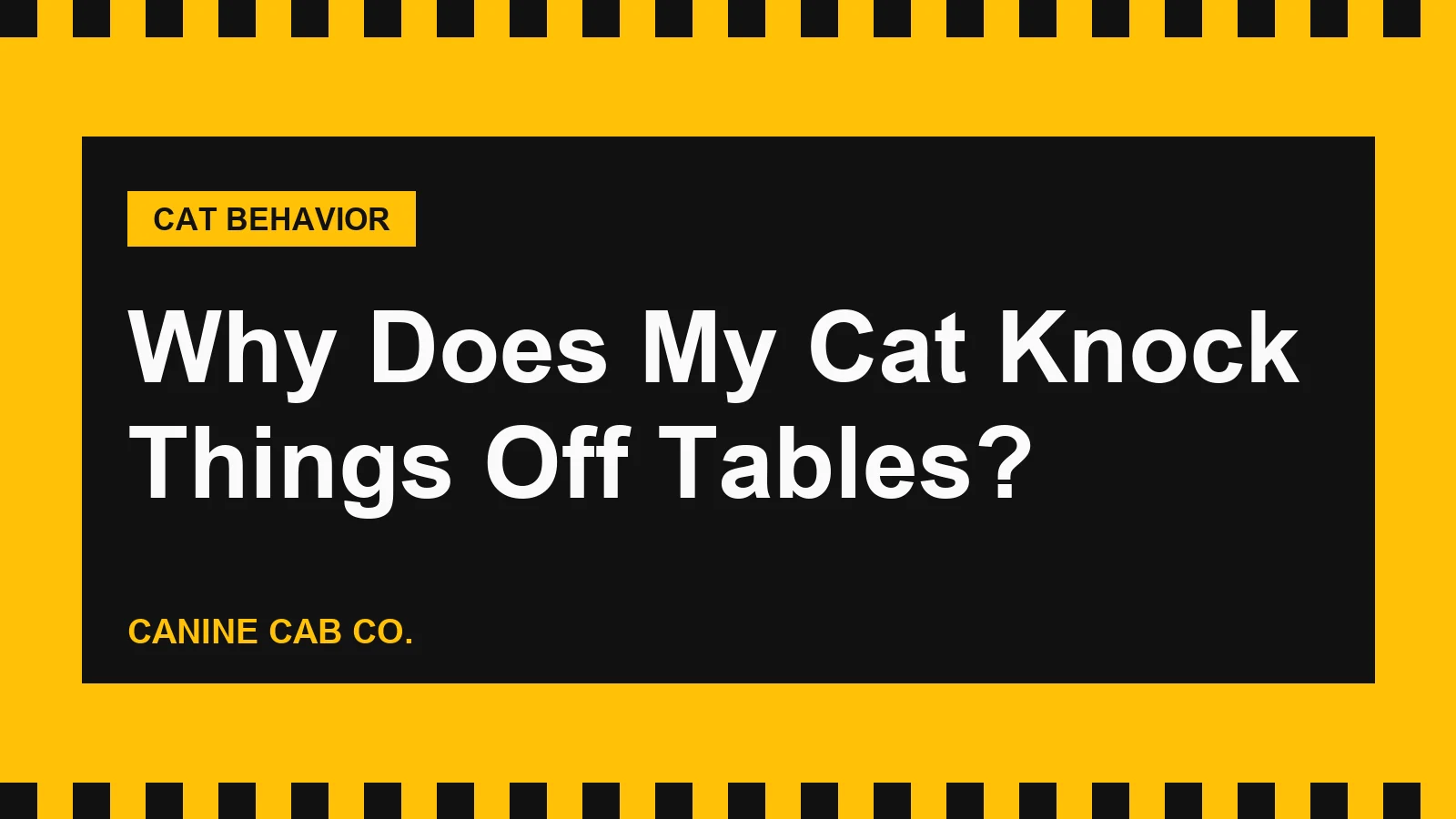 Why Does My Cat Knock Things Off Tables?