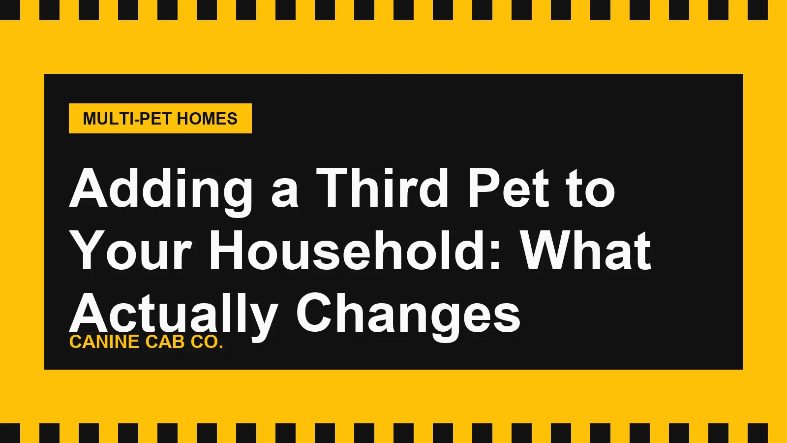 Adding a Third Pet to Your Household: What Actually Changes